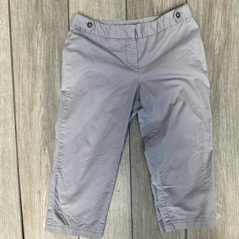 Ann Taylor Signature Fit Crop Pants